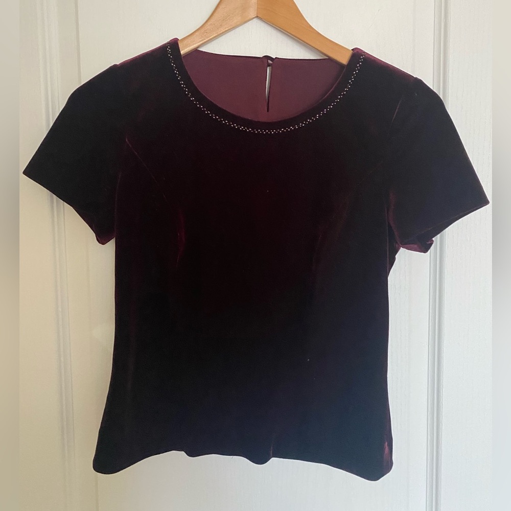 Elegant Velvet Burgundy Top